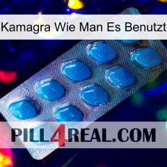 Kamagra How To Use viagra1